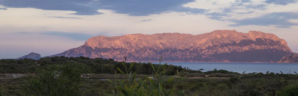 Bados Mare Appartement Olbia Buitenkant foto